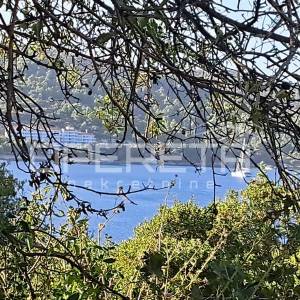 Zagrebačka, Vis, 960,00 m2, 480.000,00 EUR