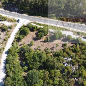 Zagvozd poljoprivredno zemljište 4000 m2