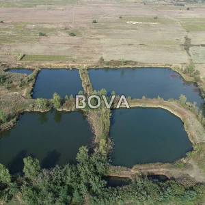 Zemljište površine 53.651 m2 – Nin – Vrsi Grbe *Povoljno* (ID-2180)