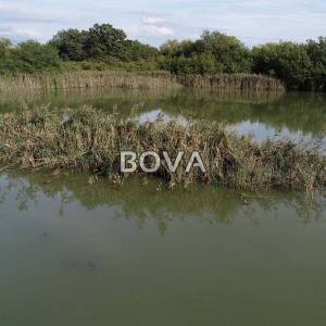 Zemljište površine 53.651 m2 – Nin – Vrsi Grbe *Povoljno* (ID-2180)