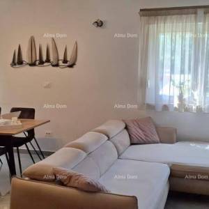 Žminj – Kompletno namješten stan  s 2 parkirna mjesta