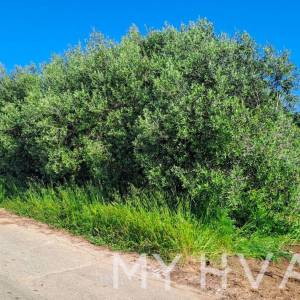 Atraktivno Građevinsko Zemljište u Sućurju