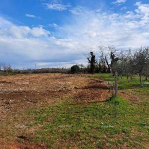 Atraktivno građevinsko zemljište za izgradnju stambene zgrade, Umag – 500 m od mora!