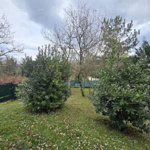 Blizina mjesta Marčane. Samostojeća kuća na velikoj parceli s grijanim bazenom!