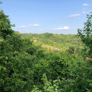 Brdovec - D. Laduč zemljište 2.143m2 i kućica 20m2 s priključcima