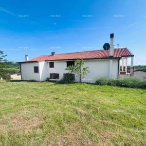 Buje – Samostojeća kuća s maslinikom i građevinskim zemljištem