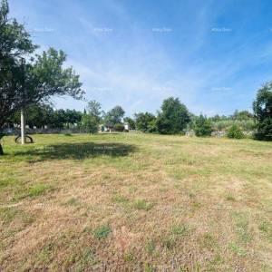 Buje – Samostojeća kuća s maslinikom i građevinskim zemljištem