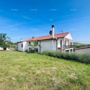 Buje – Samostojeća kuća s maslinikom i građevinskim zemljištem