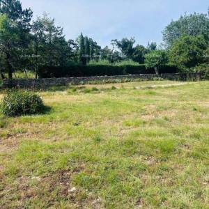 Buje – Samostojeća kuća s maslinikom i građevinskim zemljištem