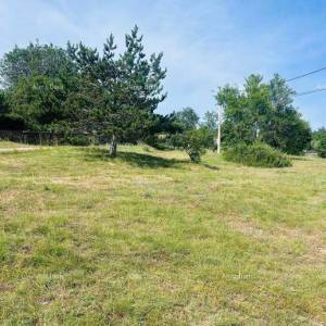 Buje – Samostojeća kuća s maslinikom i građevinskim zemljištem