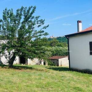 Buje – Samostojeća kuća s maslinikom i građevinskim zemljištem