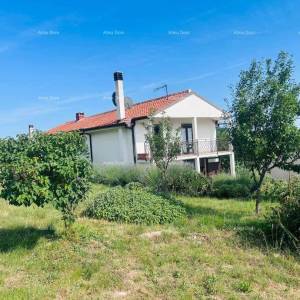 Buje – Samostojeća kuća s maslinikom i građevinskim zemljištem