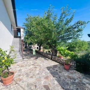 Buje – Samostojeća kuća s maslinikom i građevinskim zemljištem