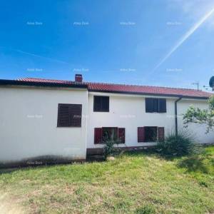 Buje – Samostojeća kuća s maslinikom i građevinskim zemljištem