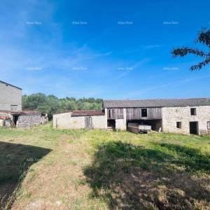 Buje – Samostojeća kuća s maslinikom i građevinskim zemljištem