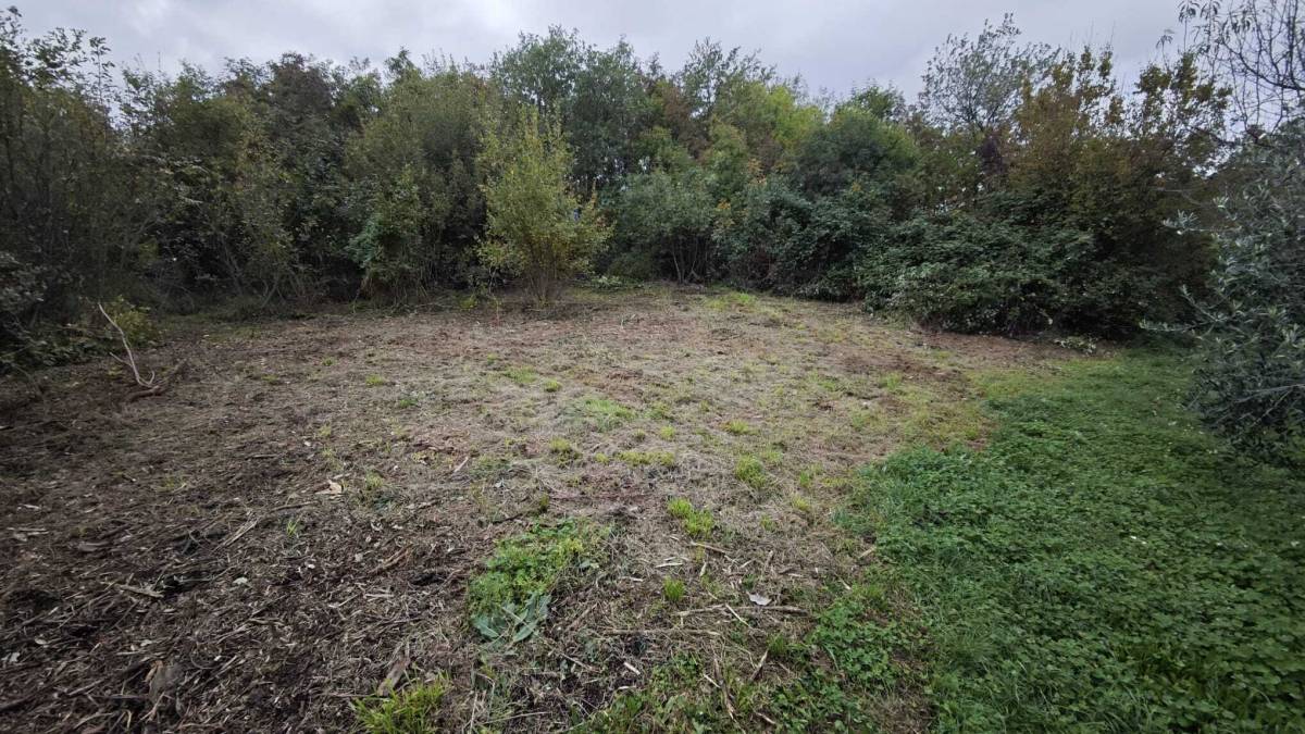 Čišćenje zaraslih zemljišta, krčenje parcela, košnja travnjaka