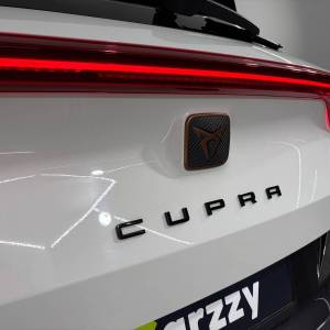 Cupra Formentor 2.0 TDI evo DSG 4Drive - 3 godine jamstva