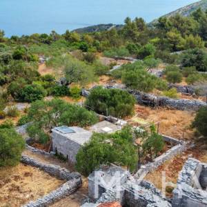 Dvojna kuća, poljsko imanje i maslinik uz more na Hvaru