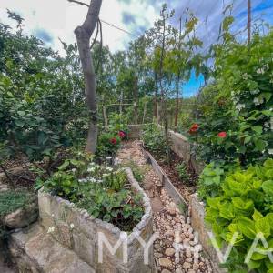 Dvojna kuća, poljsko imanje i maslinik uz more na Hvaru