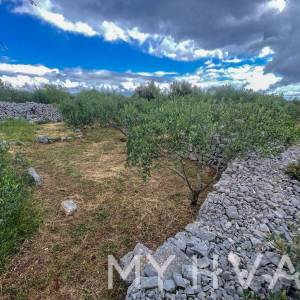 Dvojna kuća, poljsko imanje i maslinik uz more na Hvaru