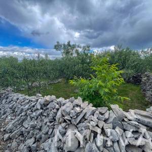 Dvojna kuća, poljsko imanje i maslinik uz more na Hvaru