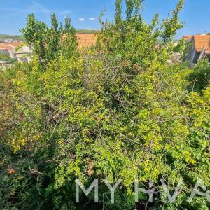 Dvojna kuća u Banskom Dolcu