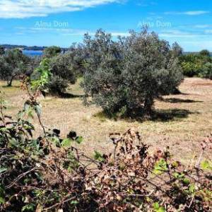 Fažana – poljoprivredno zemljište blizu mora