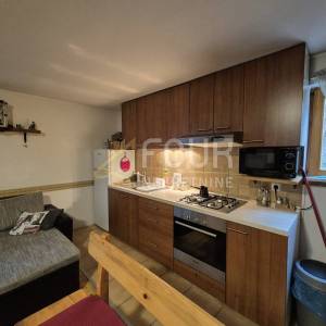 Gorski kotar, okolica Delnica, dvije kuće