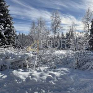 Gorski kotar, Ravna Gora - okolica, građevinsko zemljište