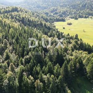 GORSKI KOTAR, SUNGER- zemljište 9000m2 + stara kuća + 2 gospodarska objekta  S GRAĐEVINSKOM DOZVOLOM!! 