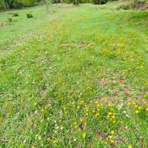 Građevinska parcela, blizina Krnice!