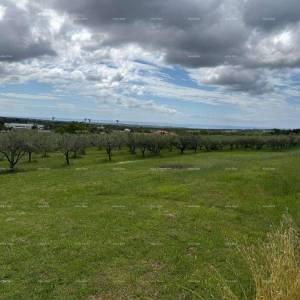 GRAĐEVINSKA PARCELA S POGLEDOM NA MORE – LABINCI