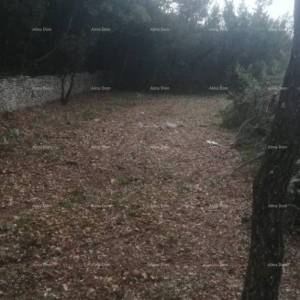 Građevinsko i poljoprivredno zemljište u blizini Svetvinčenata: 11100 m² za vašu investiciju