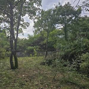 Građevinsko i poljoprivredno zemljište u blizini Svetvinčenata: 11100 m² za vašu investiciju