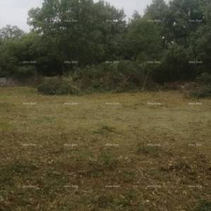 Građevinsko i poljoprivredno zemljište u blizini Svetvinčenata: 11100 m² za vašu investiciju