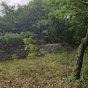 Građevinsko i poljoprivredno zemljište u blizini Svetvinčenata: 11100 m² za vašu investiciju