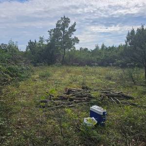 Građevinsko i poljoprivredno zemljište u blizini Svetvinčenata: 11100 m² za vašu investiciju