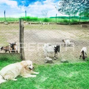 Gredice 32, Turizam, 1.230.000,01 EUR