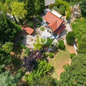 GROBNIK - Kuća u šumi - potpuni mir, čisti zrak i savršena povezanost s morem, planinama i izletištima