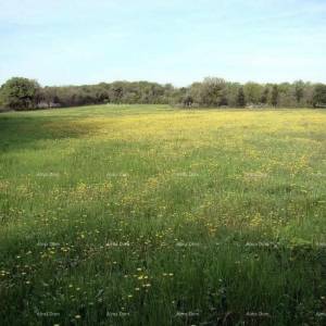 Investicijska prilika! Prodaja građevinskog zemljišta turističko-ugostiteljske namjene-T zona, Ližnjan!