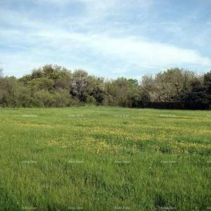 Investicijska prilika! Prodaja građevinskog zemljišta turističko-ugostiteljske namjene-T zona, Ližnjan!