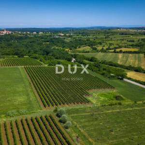 ISTRA, BRTONIGLA - Dizajnerska Vila - kombinacija udobnosti i luksuza