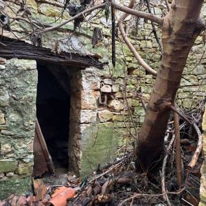ISTRA, GALIŽANA - Kuća s dvije stambene jedinice u centru za renovaciju!