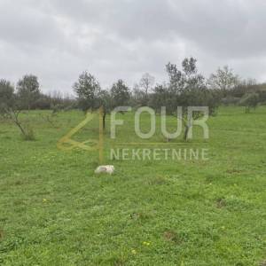 Istra, Kanfanar, poljoprivredno zemljište, 13.301m2