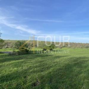 Istra, Kanfanar, poljoprivredno zemljište, 13.301m2