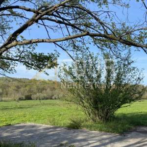 Istra, Kanfanar, poljoprivredno zemljište, 13.301m2