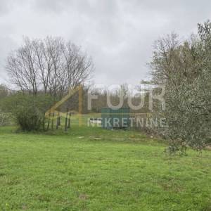 Istra, Kanfanar, poljoprivredno zemljište, 13.301m2