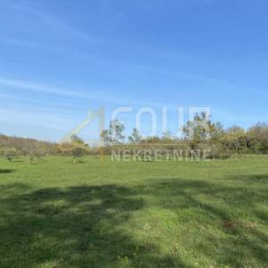 Istra, Kanfanar, poljoprivredno zemljište, 13.301m2