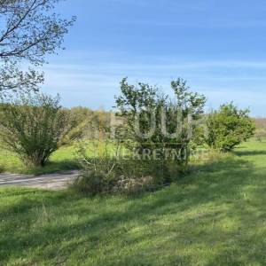 Istra, Kanfanar, poljoprivredno zemljište, 13.301m2