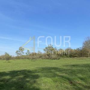 Istra, Kanfanar, poljoprivredno zemljište, 13.301m2